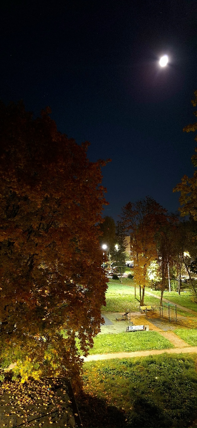 ночной вид с балкона