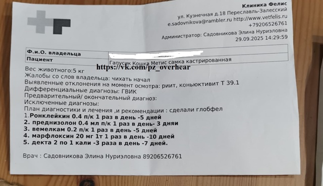 Друзья!
Мы все еще пытаемся насобирать денежку на пога...