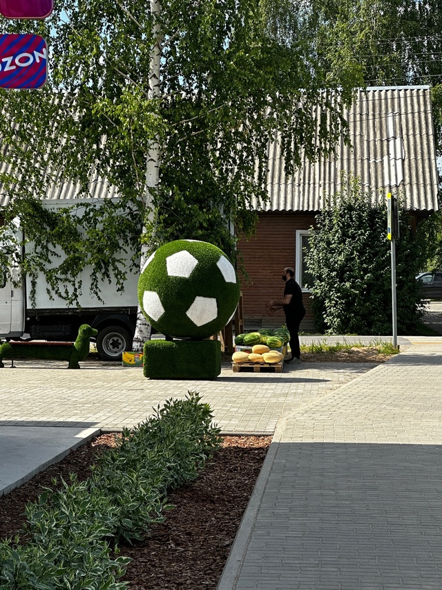 Как выбрать хороший арбуз, а дыню? Может кто поделится ?...