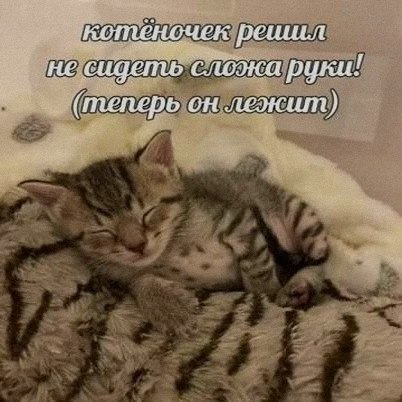 Ночная подборочка
Спать, режим