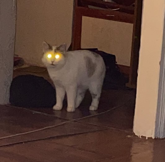 Я голоден только тогда, когда я голоден, а когда я не го?...