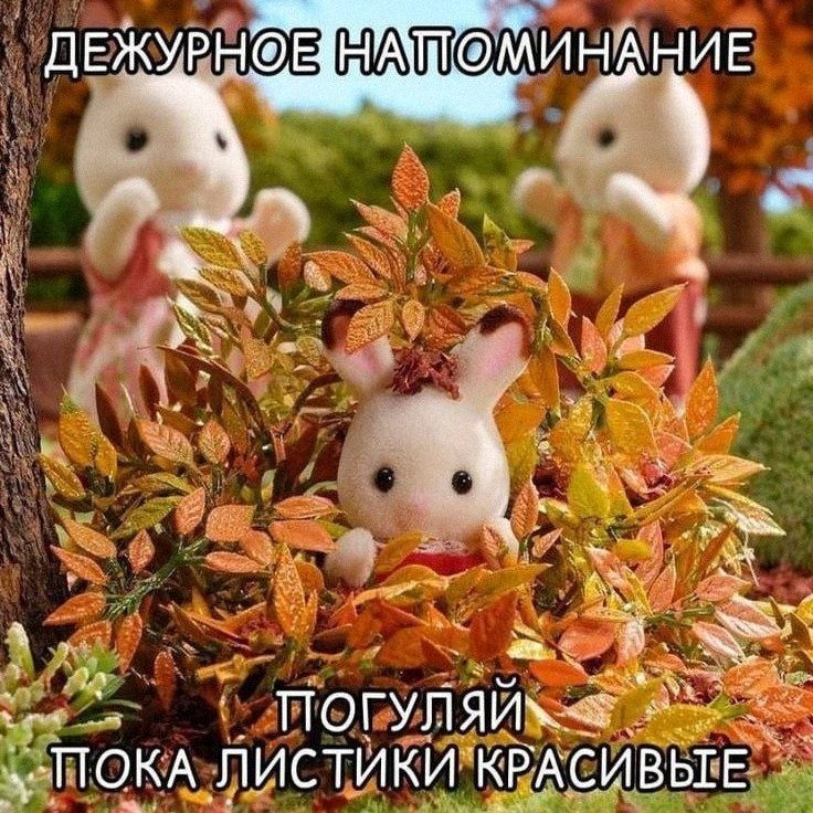 Утренняя подборочка
