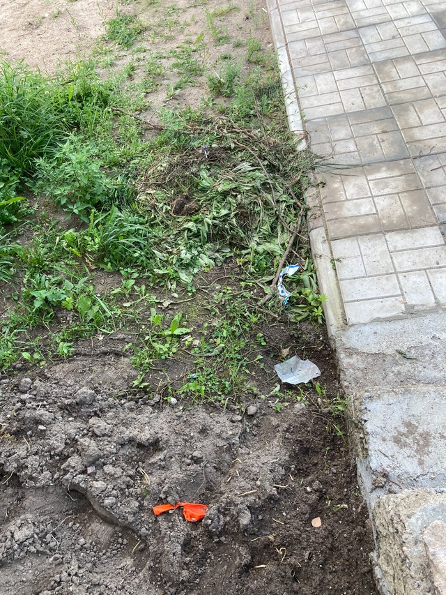 Уважаемые родители сыночек-корзиночек, что бегают воз?...