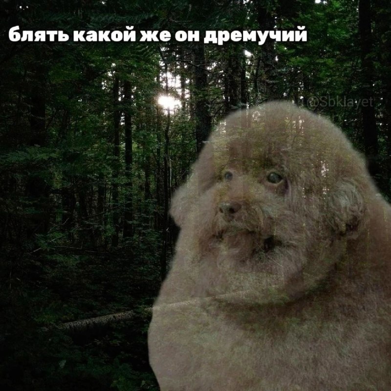 когда росла в семье, состоящей из женщин, и видишь, как кто-то накладывает своему мужику пожрать, ка