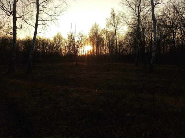 ГРИБЫ В ДЕКАБРЕ - МИФ ИЛИ РЕАЛЬНОСТЬ?
У большинства гр?...