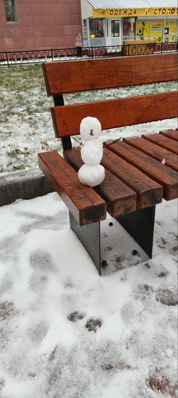 🥺На Крупской появился милый житель.