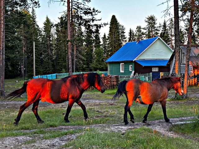 🏡 Волоковой 118 лет
Датой образования деревни считает?...