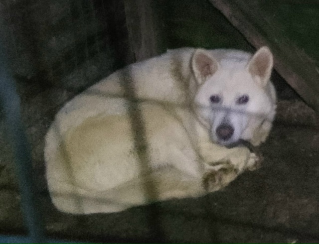 Очень нужна помощь с погашением долга Ноева ковчега! В ...