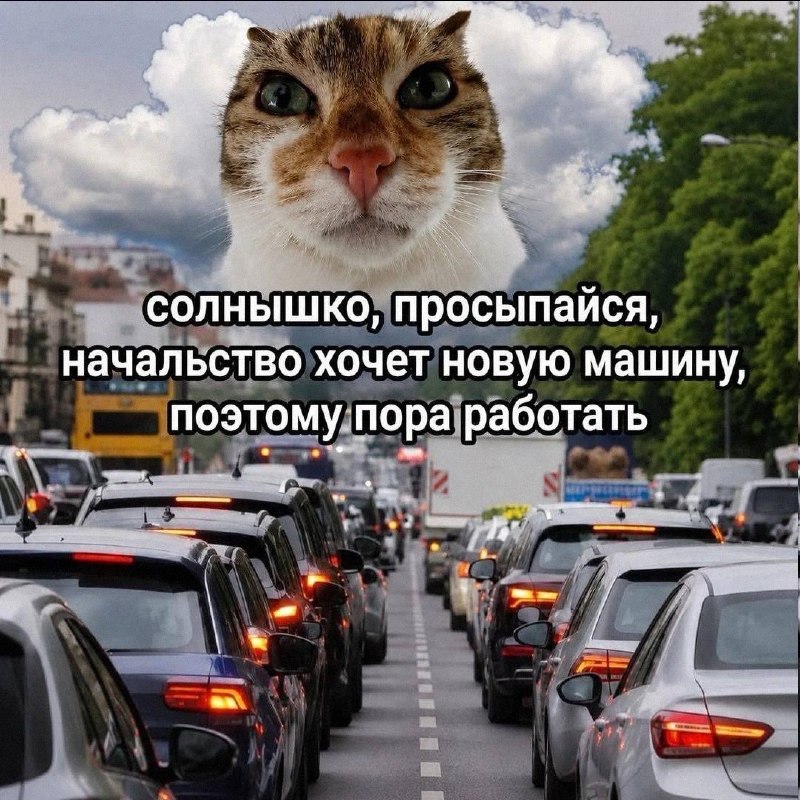 Утренняя подборочка