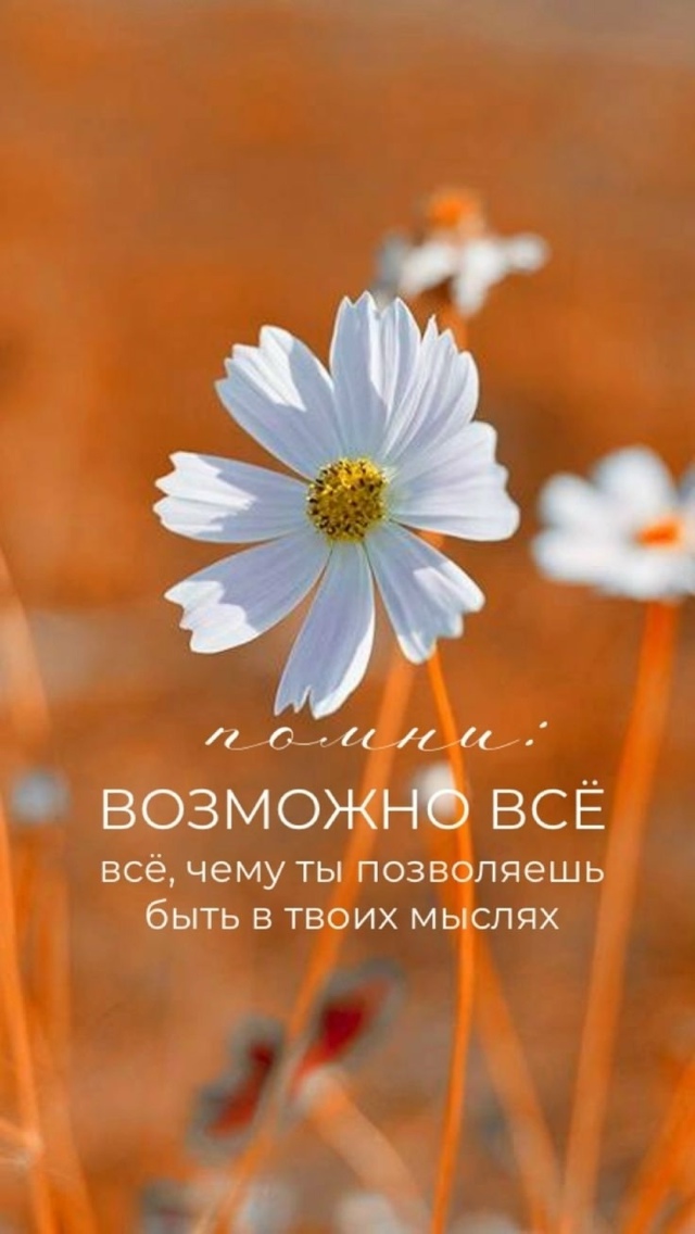 Возможно всё