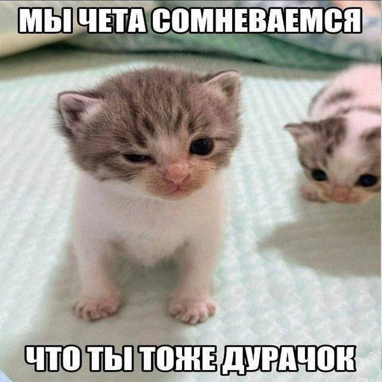 Утренняя подборочка