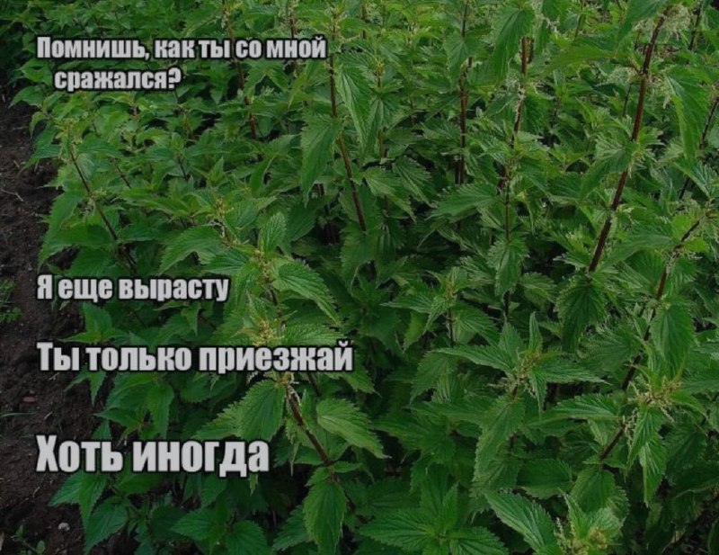 Ночная подборочка
Спать, режим