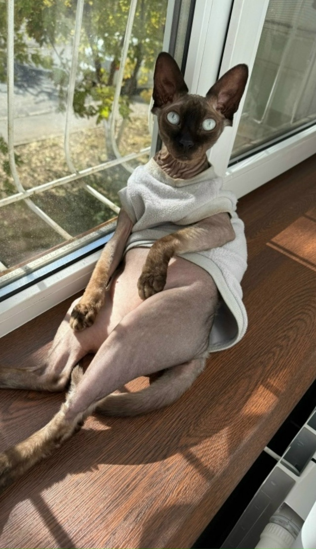 А давайте устроим интерактив и поделимся фотографиями...