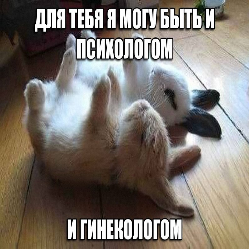 Утренняя подборочка