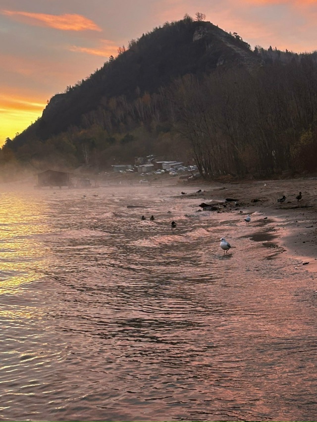 Моркваши
📸 Зоя Дарина-Анисова