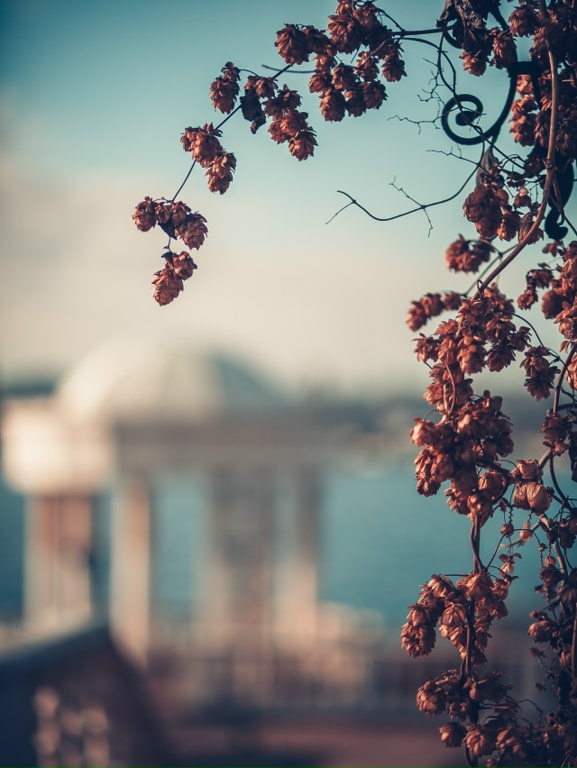 Осенний Воронеж, смотровая площадка на Спортивной Наб?...