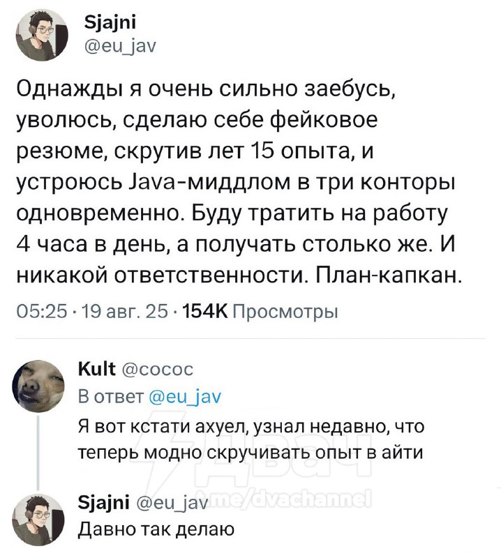 Айтишники начали скручивать свой опыт: так они сразу устраиваются на пару грейдов ниже — и получают