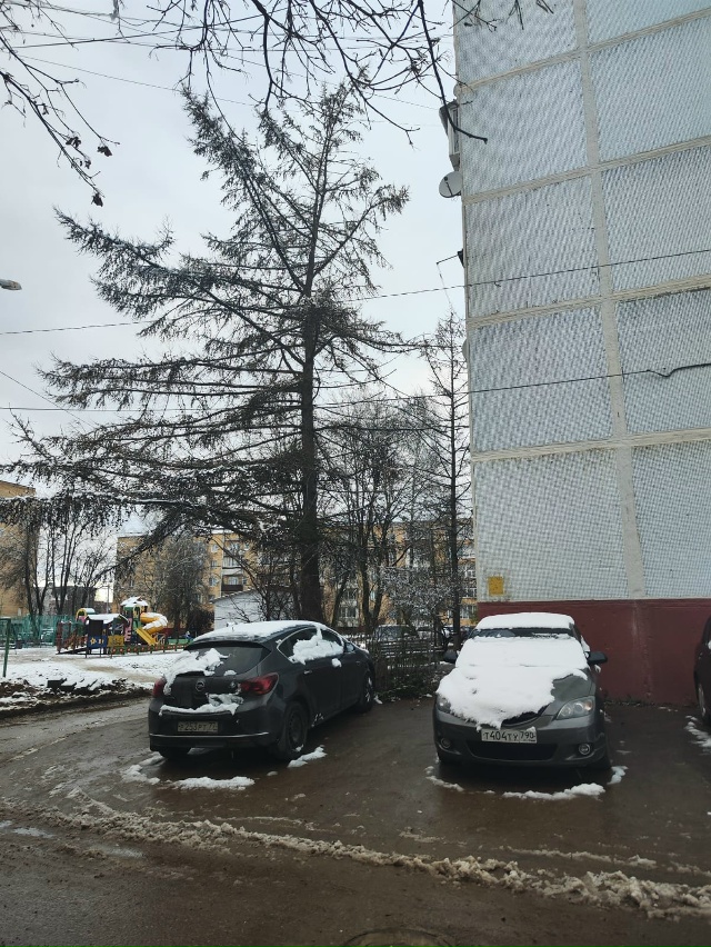 Уважаемая Администрация обращаюсь к вам с просьбой!Де?...