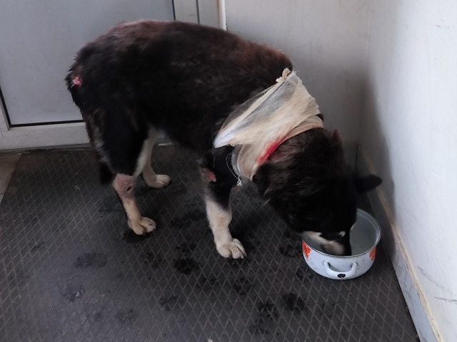 Друзья, нужна помощь! 😪
Сегодня звонит папа 