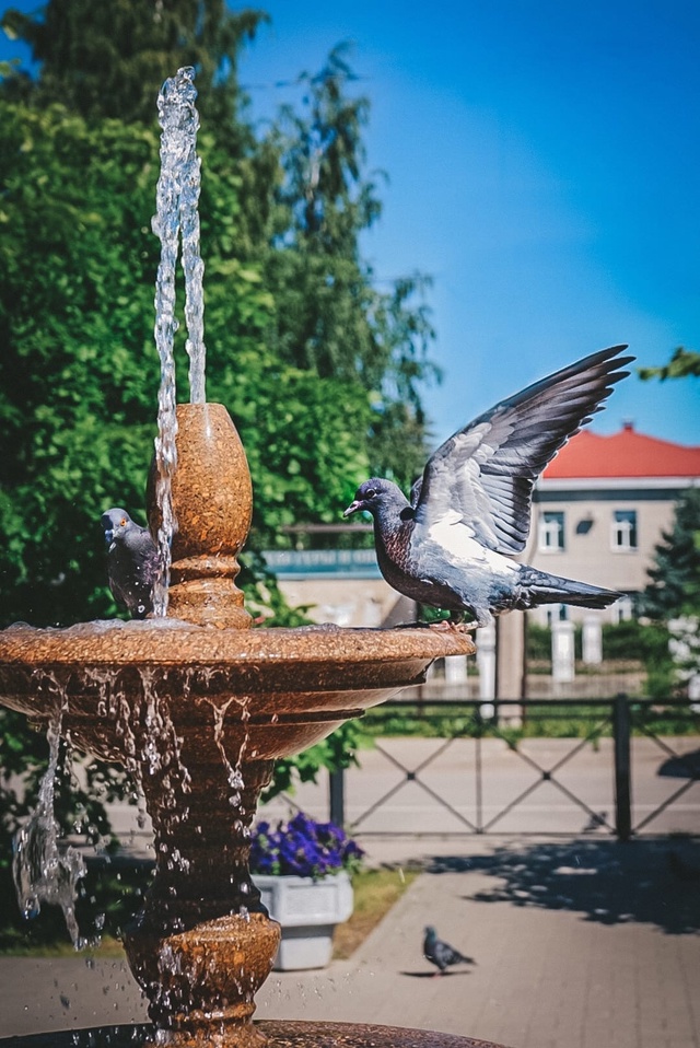 Доброе утро, Вельск! ☀
📸: Анастезия Сергеевна
