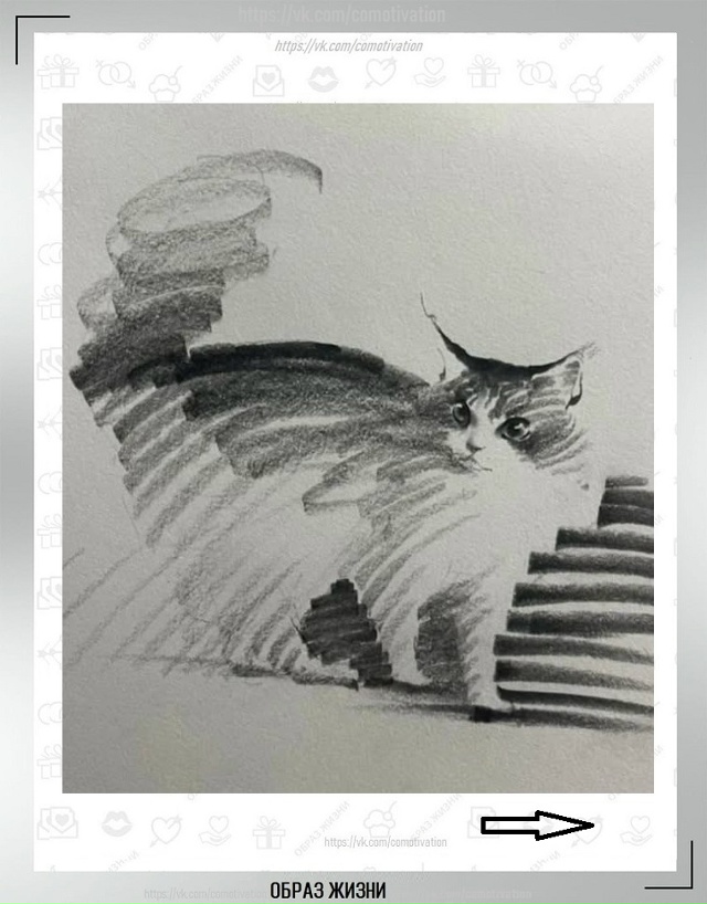 Вот такая милота. Ну куда же без кота.