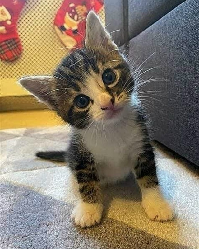 Милого утра всем!