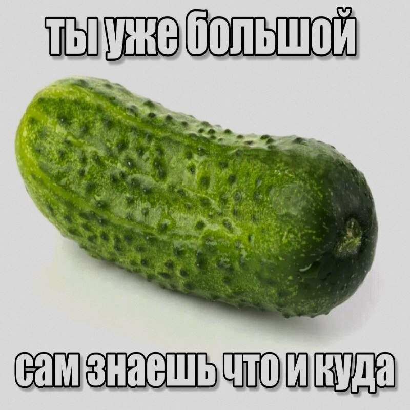 Ночная подборочка
Спать, режим