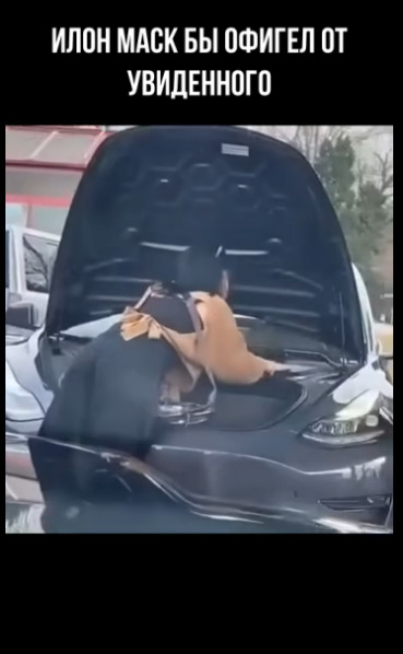 Пожалуйста, скажите, что это прикол!