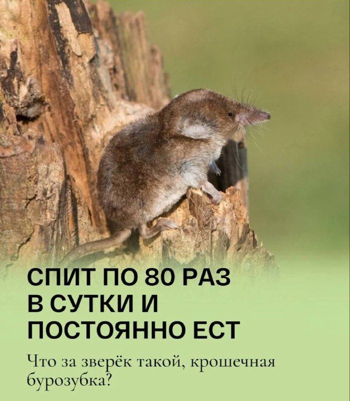Ты?