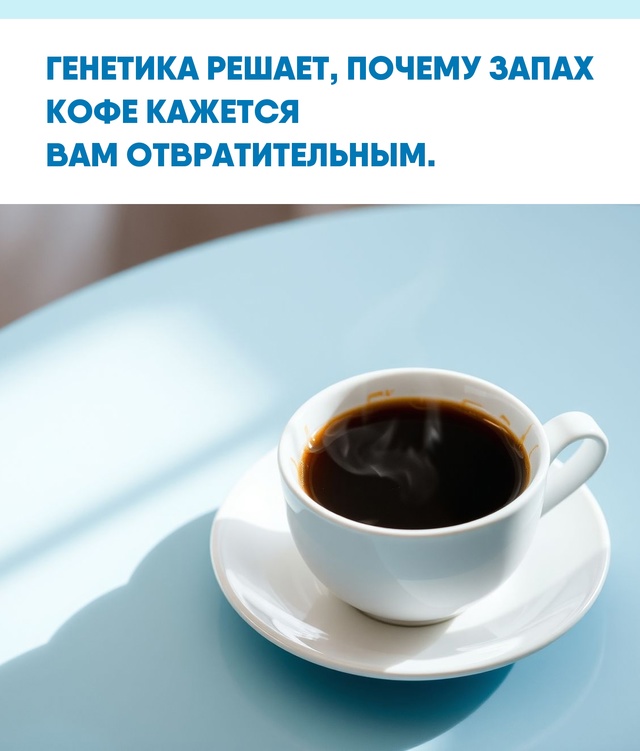 Запахи — это не просто ощущения, а сложный результат р?...