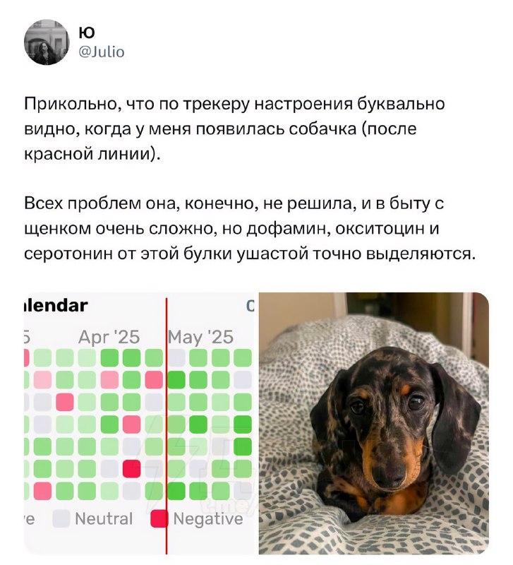Баси лечат от депрессии и стресса, официально
Тян рассказала, что её настроение стало намного лучше