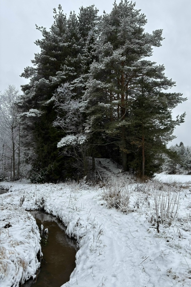 Доброго утра, Никольск❤