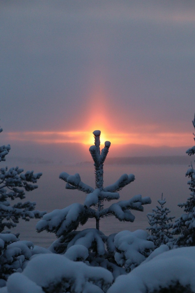 Когда фильтры не нужны🩷
[id1430345|Елена Серикова]