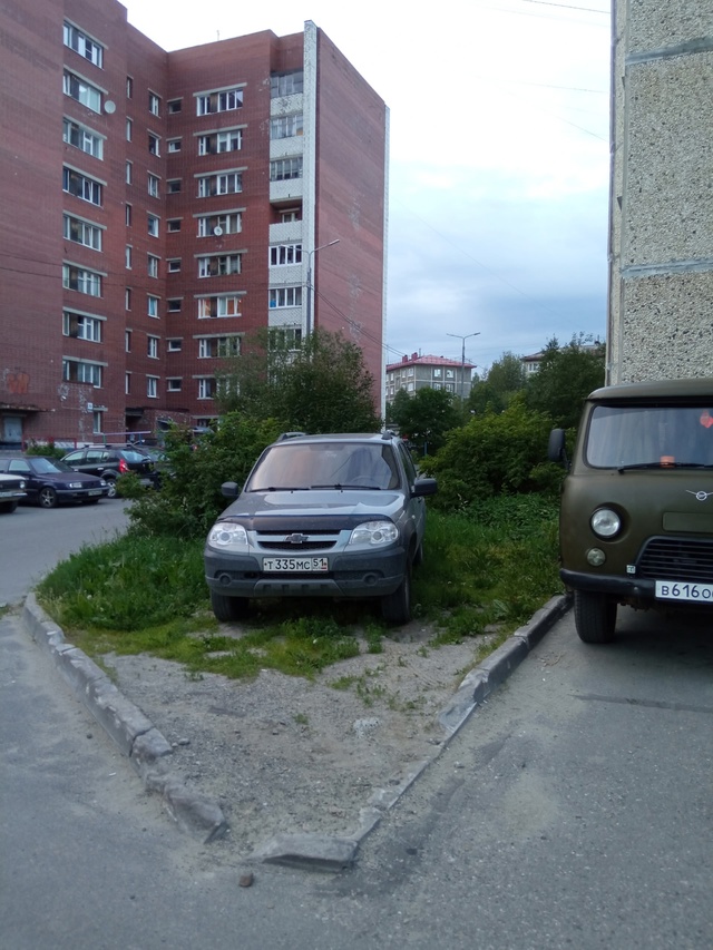 Наглядный пример, как стирается в нашем городе зелень! ...