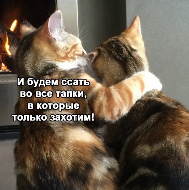 Зачем переживать, все же будет хорошо