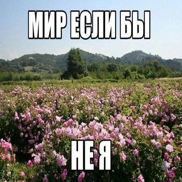 Ночная подборочка
Спать, режим