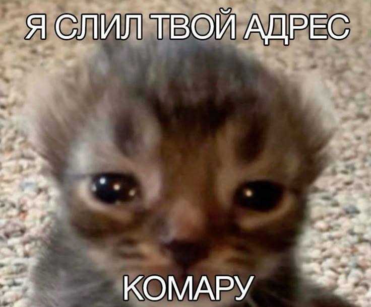 Отправь другу