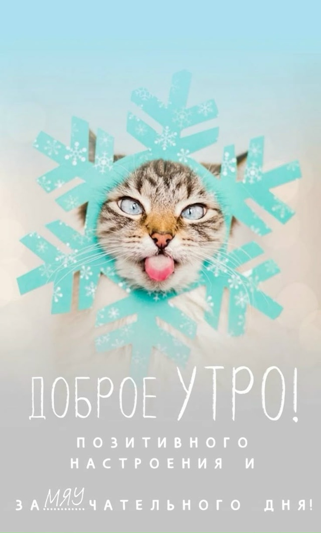 Доброе утро, Подслушано!