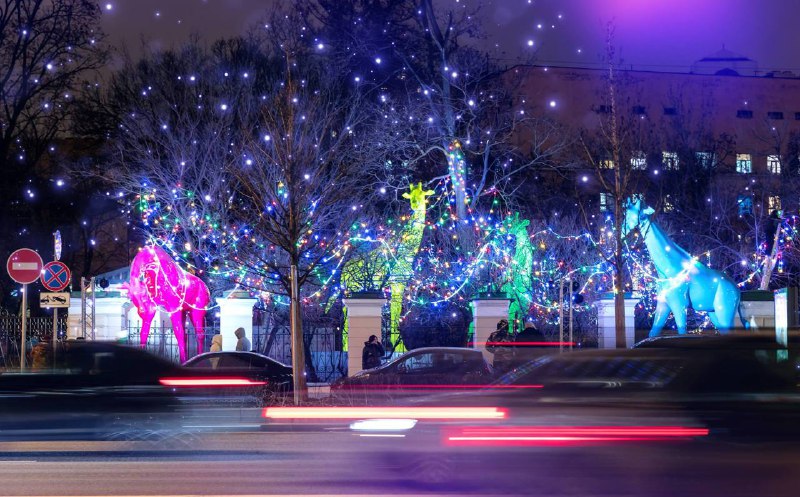 🦒 Добрые жирафы из Московского зоопарка, по местной легенде, «пришли» в соседнюю детскую больницу Фи