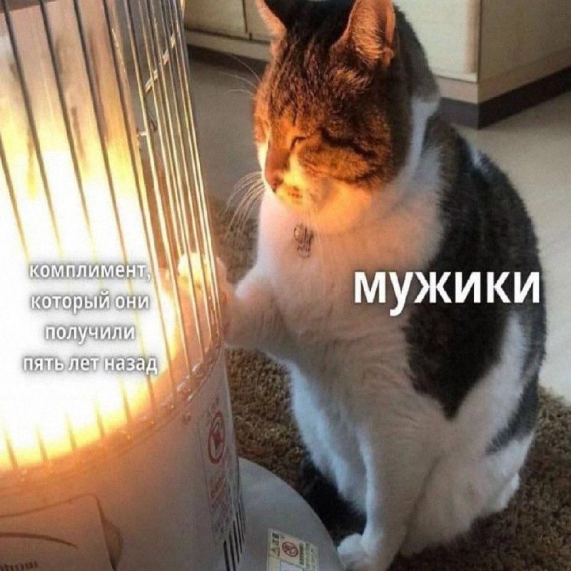 Утренняя подборочка