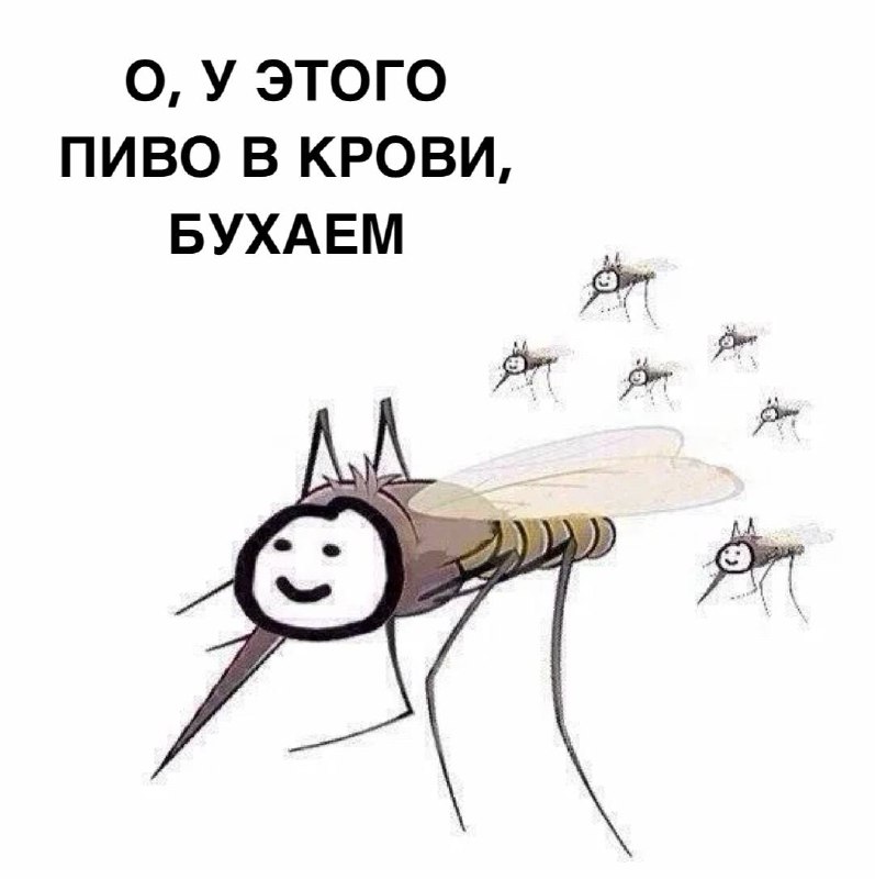 Комары чаще всего кусают любителей пива и секса — дело в особом запахе, который остается на коже и п