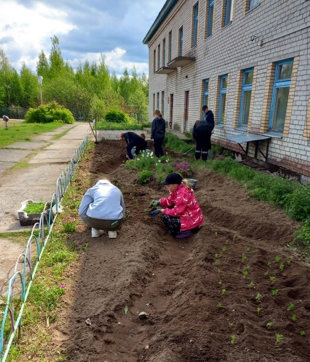 В Карелии стало больше рабочих мест для подростков Об...
