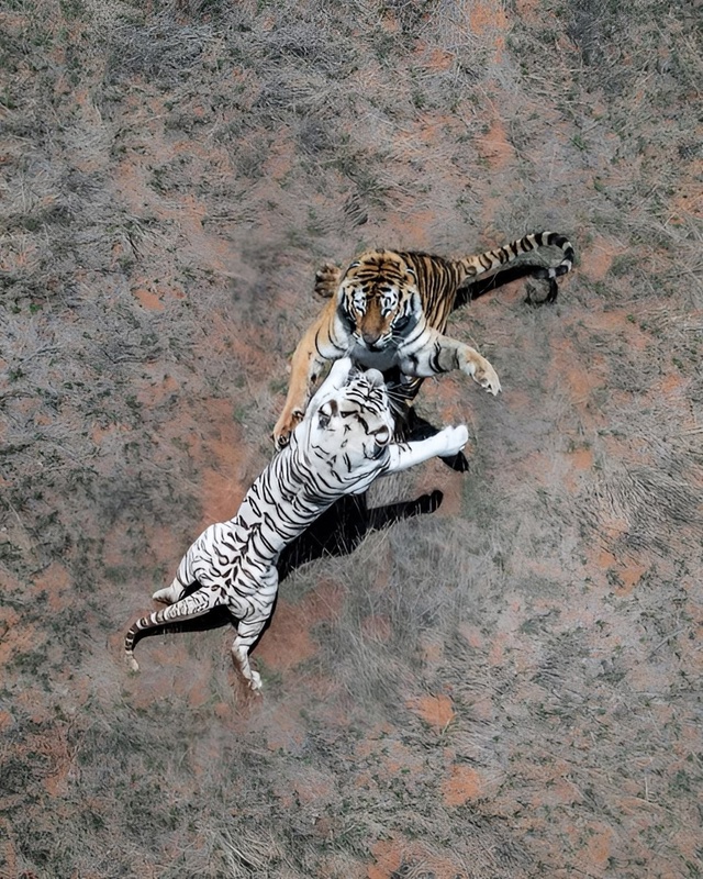 Гипнотические фотографии с дронов от автора Abstract Aerial Ar...