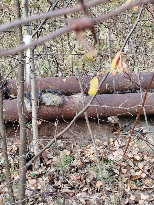 на улице Кирова 43, всё ещё не обмотаны. Много лет стоят ?...