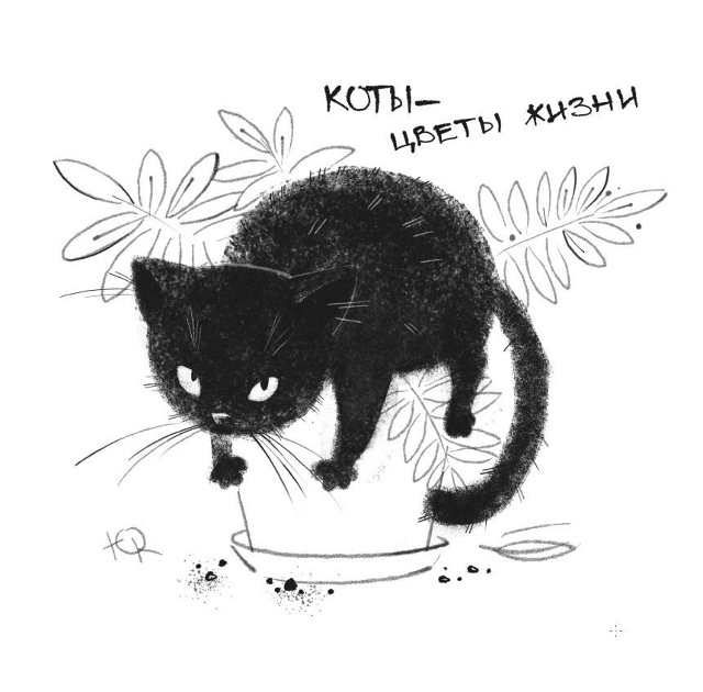 Заведи себе котика, говорили они..