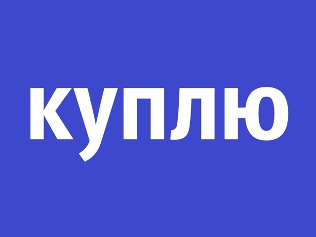 Куплю веслоухого котенка,приученого к лотку...