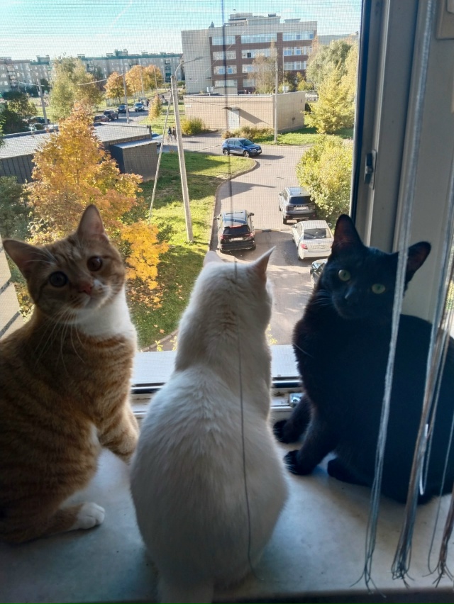 3 всадника апокалипсиса!!!