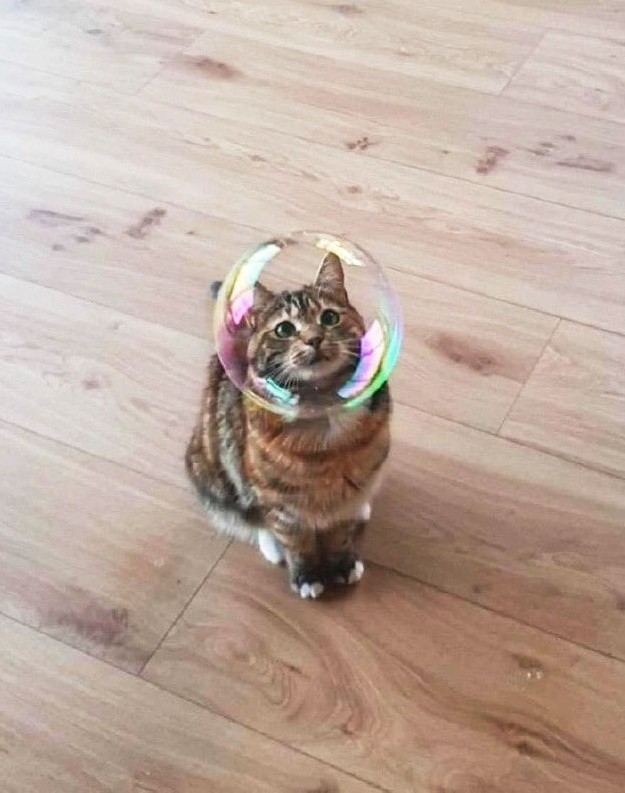 Зырь в пузырь😂