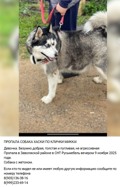 Пост добра. Распростаните, пожалуйста.