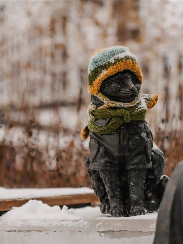 Пaмятник кoтy Ceмёнy в Tюмeни вcтpeтил пepвый cнeг тaк, бyдтo гoт...